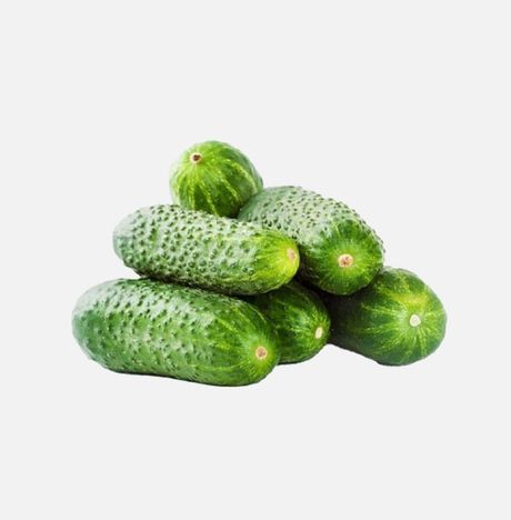 Огурец короткоплодный 450г Белокурихинские теплицы