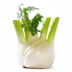 Фенхель вес