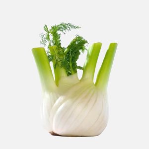 Фенхель вес