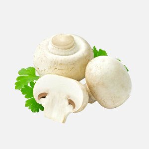 Шампиньоны свежие вес 