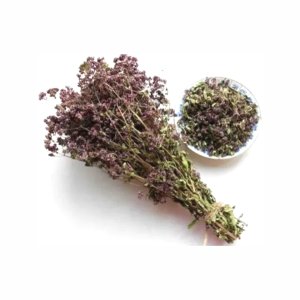 Душица пучок 