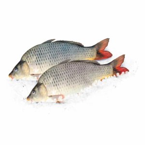 Карп зеркальный охл вес