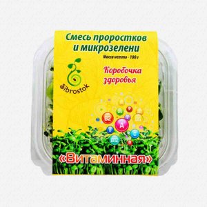 Смесь Витаминная 100г Сибросток