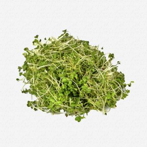 Микрозелень Сибросток проростков брокколи 65г