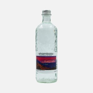 Вода Шамбала минеральная природная негазированная cт/б 0,585л