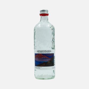 Вода Шамбала минеральная природная газированная cт/б 0,585л