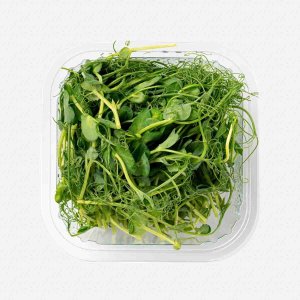 Микрозелень Сибросток гороха 50г 