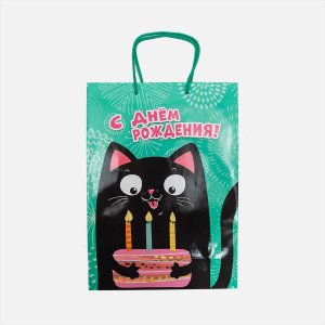 Пакет НД Плей подарочный Кошки бум 238*330*100мм 314483