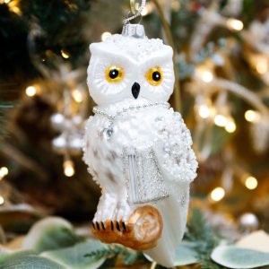 Украшение елочное Холидей Классик Сова в библиотеке стекло 7,5х5х16см